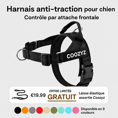 Harnais Anti-Traction pour Chien
