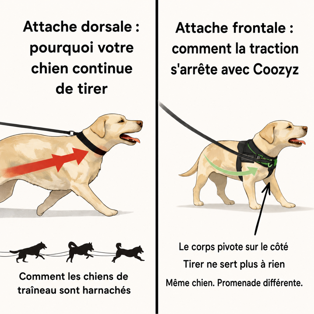Harnais Anti-Traction pour Chien