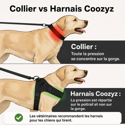 Harnais Anti-Traction pour Chien