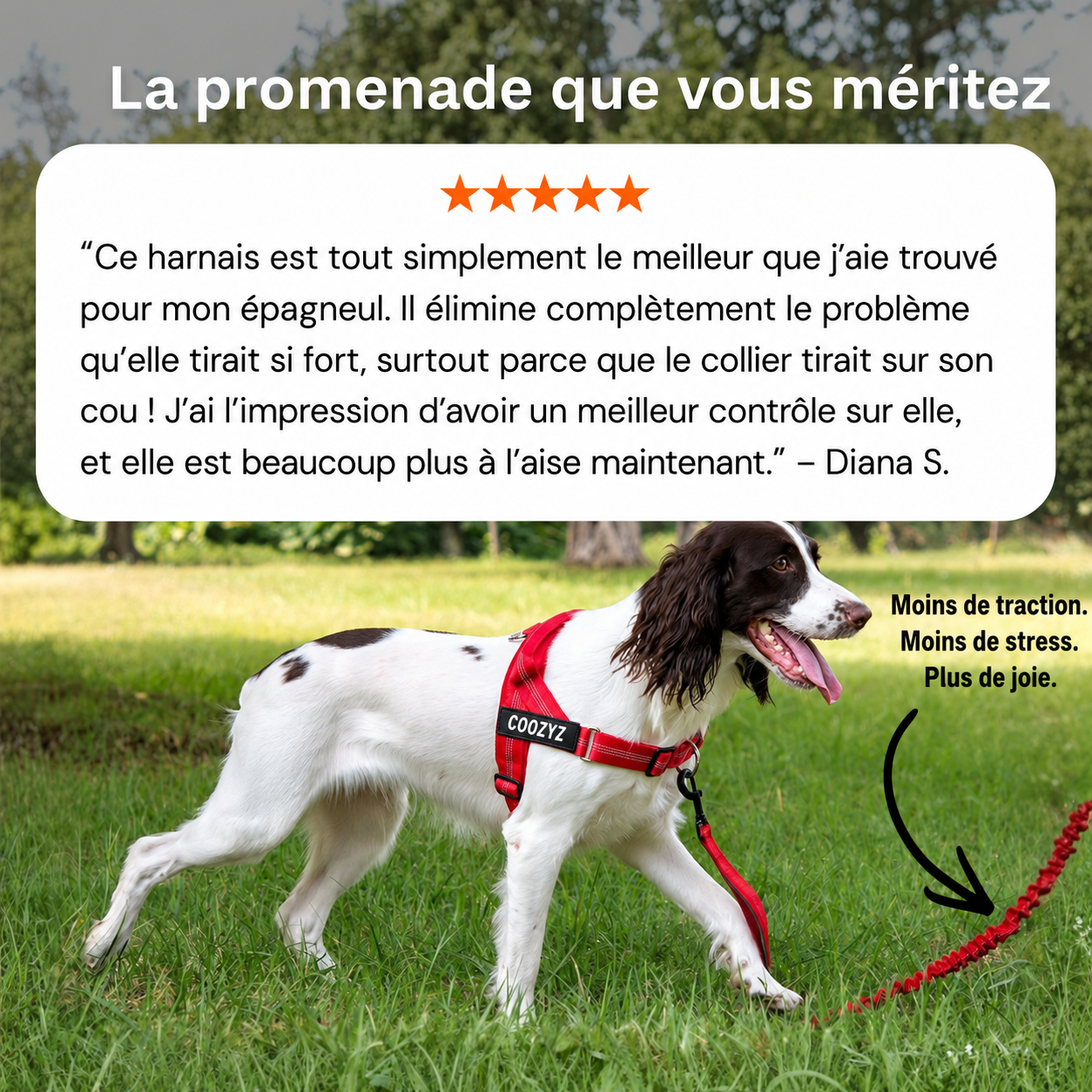 Harnais Anti-Traction pour Chien