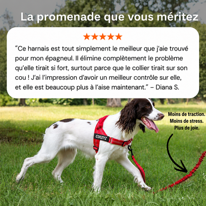 Harnais Anti-Traction pour Chien