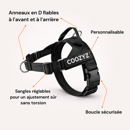 Harnais Anti-Traction pour Chien