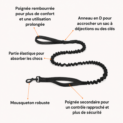 Harnais Anti-Traction pour Chien