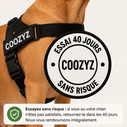 Harnais Anti-Traction pour Chien